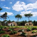 달음산자연휴양림 이미지