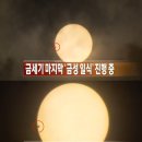 금성 - 북구 동암로 128-10 | 금성