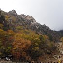 설악산국립공원 오색 만경대 단풍 산행안내 이미지