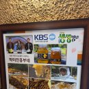 박터진흥부네 | 🌿 숲속에서 만나는 건강 밥상, 박터진흥부네 – 용인 염소탕 후기
