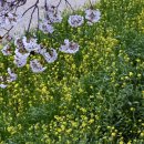 박가네한우사랑 이미지