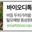 야생화 민박 이미지