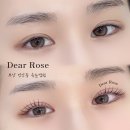 부산광역시청_3층 | 부산 시청 속눈썹펌 리얼 후기｜유지력 높이는 관리법