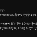 천연 EMP를 장착한 동물 이미지