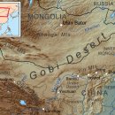 흔들리며 피는 꽃 이미지