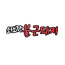 쇠소깍불근돼지