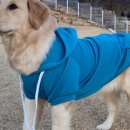 댕블리스 이미지