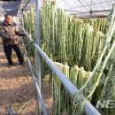 오산농원 영농조합법인 이미지