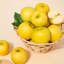 (주)더조은 이미지