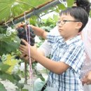 정영호농장 이미지