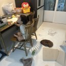 더크린24 | [영구이사 103호점] 협찬이였으면 좋겠는 내돈내산 완전포장이사 후기(+영구크린 1인청소)
