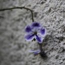 행복지기 - 춘천시 | 행복지기