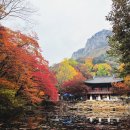 백양사 주차장 화장실 이미지