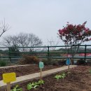 창의 쑥쑥, 그림책 읽기 이미지