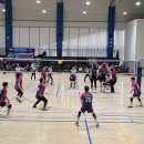 서초종합체육관 이미지