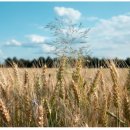 휴베이스 동아약국 이미지