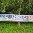 대가야센터-10 이미지