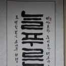 푸른&소나무 이미지