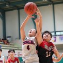 월배초등학교 이미지