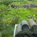 울안농장 이미지