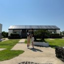 동촌마을 | 제주 종달리 동쪽 감성숙소 &#39;동촌하우스&#39; 햇살, 구름 객실 이용후기