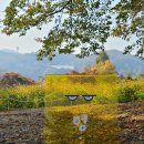 대공원치안센터 이미지