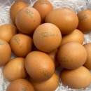 양촌농원 이미지