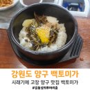 백토미가 이미지