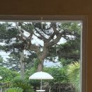 호텔골든데이지 이미지