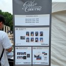 20250628 팜트리아일랜드 갈라콘서트 관람 후기