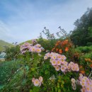 남진원 문학 全史 제1권 3. 동심, 세상으로 빠진 그날. 내 문학의 출발 - 강원아동문학회 외 이미지