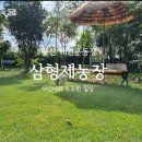 삼돈농장 네이버블로그