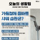 2024년 10월 17일 목요일, HeadlineNews 이미지