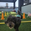 칠곡유치원 이미지