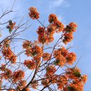 수원-0226 네이버블로그