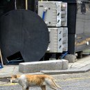 진부약국 | 서울 독립서점 투어_땡스북스, 진부책방스튜디오, 아직 독립못한 책방
