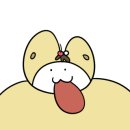 호시타코야끼 이미지