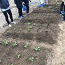 김명선농장 이미지