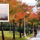 낙동강변 축구장 1 이미지