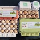 수형축산 이미지