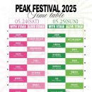 2025 피크페스티벌