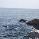 조례주공공인중개사사무소 | 조례주공재건축, 송천부동산과 함께하는 안전한 부동산 거래의 시작