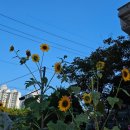 Daily Story (26.6.21)