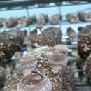 잘크는농장 이미지