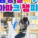 스타필드마켓 죽전점 챔피언더블랙벨트