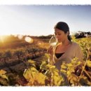 [ 호주 와인 ] 호주 와인의 특징 - 세계 100대 와인 그랑쥬 에르미따쥬 생산지 이미지
