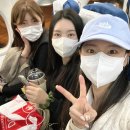 세븐일레븐 김해전하점 | 세부 보홀 여행 1일차, 세자투어(오슬롭 고래상어+가와산 캐녀닝) 새벽 출발 | 호텔 엘리자베스 세부