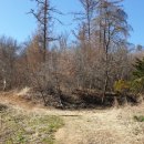 신연숙공인중개사사무소 이미지