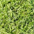 해돈농장 이미지