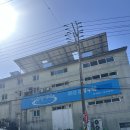 정당새미 이미지